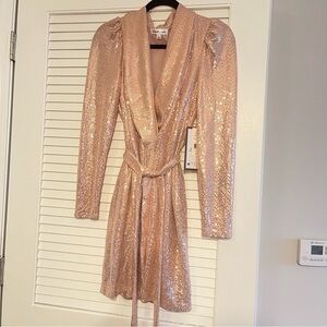 Emerald Sundae Shimmering Sequin Long Sleeve Dress NWT